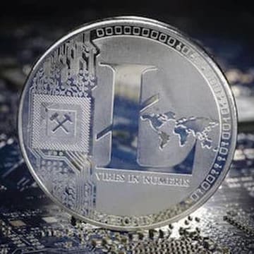What happens during a cryptocurrency halving